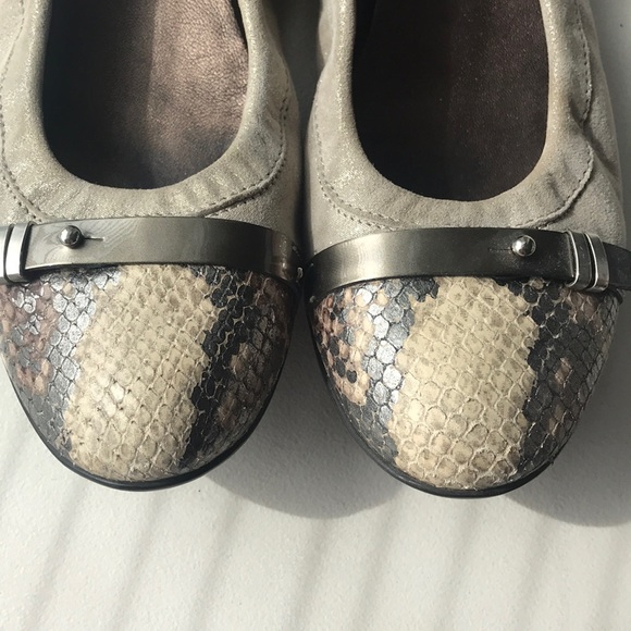 AGL - Attilio Giusti Leombruni Flats - Picture 3 of 7